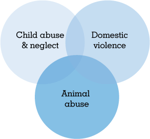 Violence, abuse and neglect